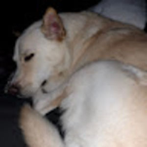 Meet your Posher, Natasha